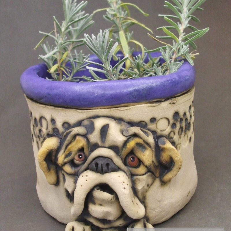 Bulldog Container2