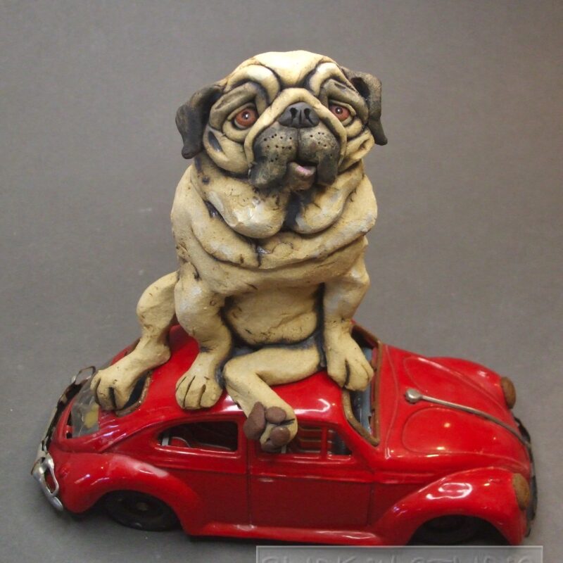 Pug on a Bug